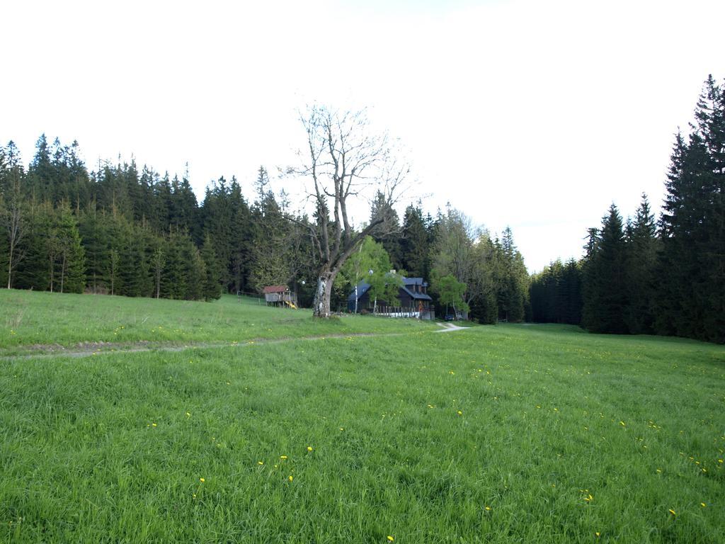 Chata Pod Koberstejnem Rejviz Exterior photo